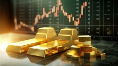 Reasons for the rise in gold prices in spot transactions today