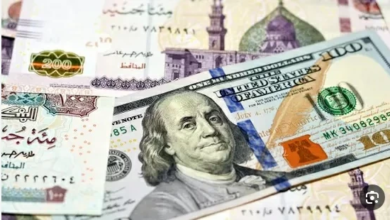 سعر الدولار في مصر يتجاوز 53 جنيها لأول مرة بالبنوك