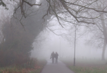 الأرصاد تنبه من ضباب كثيف على الباحة وتدني الرؤية حتى الصباح