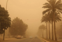 Dust storms in the Eastern Province decrease by 54%: Reasons and figures