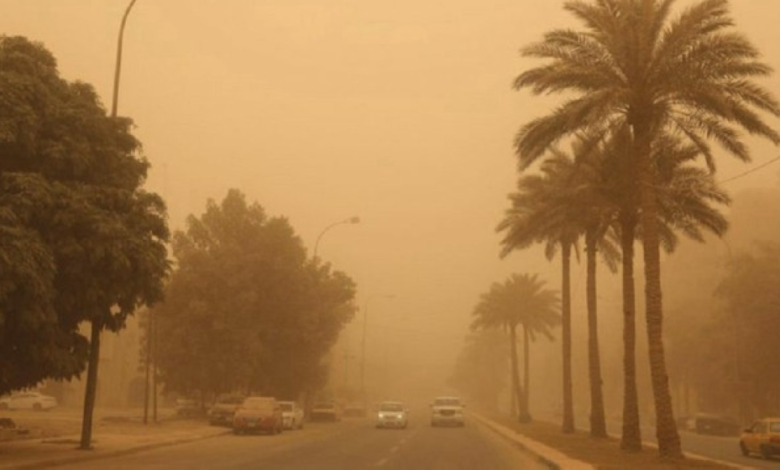 Dust storms in the Eastern Province decrease by 54%: Reasons and figures