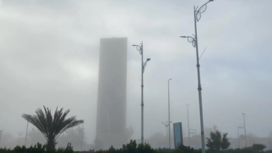 طقس السعودية: موجة باردة وانخفاض الحرارة في الرياض والشرقية والشمال