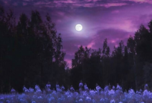 بدر رمضان 1447 يزين سماء العرب الليلة: تفاصيل بدر الخزامى