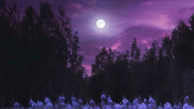 بدر رمضان 1447 يزين سماء العرب الليلة: تفاصيل بدر الخزامى