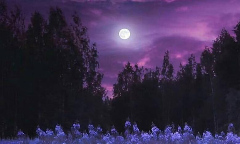 بدر رمضان 1447 يزين سماء العرب الليلة: تفاصيل بدر الخزامى