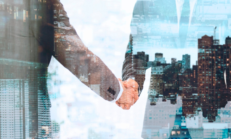 قواعد حوكمة الشركات بالمناطق الاقتصادية وتصفية الـ 3 سنوات