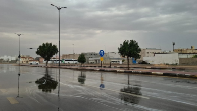 طقس السعودية: أمطار غزيرة وسيول حتى الثلاثاء وتحذيرات عاجلة