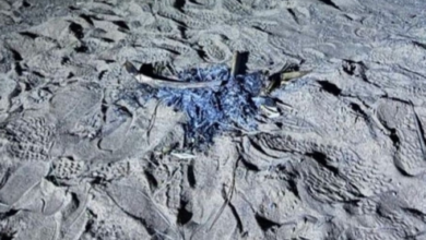 الأمن البيئي يضبط مخالفات إشعال النار والرعي الجائر