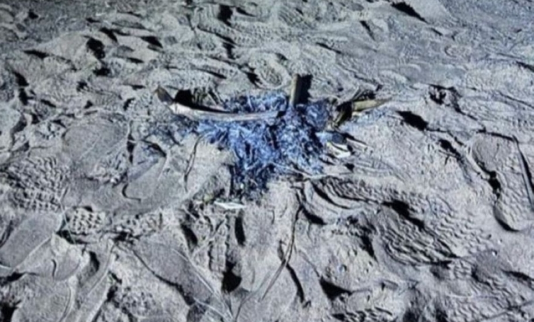 الأمن البيئي يضبط مخالفات إشعال النار والرعي الجائر