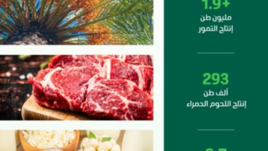 إنتاج اللحوم الحمراء في السعودية يقفز لـ 293 ألف طن برمضان