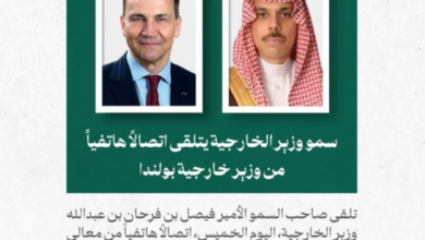 وزير الخارجية يبحث مستجدات المنطقة مع نظيريه البولندي والبرازيلي