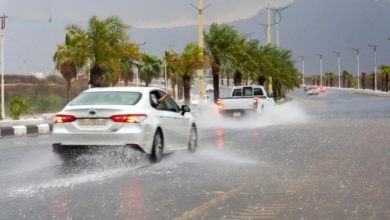 طقس الباحة اليوم: أمطار غزيرة وسيول وتحذيرات الأرصاد