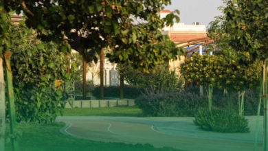 أمانة الرياض تعتمد أسماء 7 حدائق ضمن مبادرة أهلها يسمونها