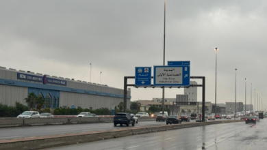 طقس الشرقية اليوم: أمطار رعدية ورياح مثيرة للأتربة وتحذيرات