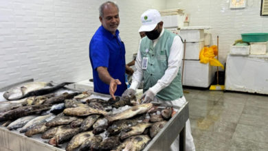 ضبط 100 ألف كجم خضار في مكة و6 آلاف جولة رقابية قبل رمضان