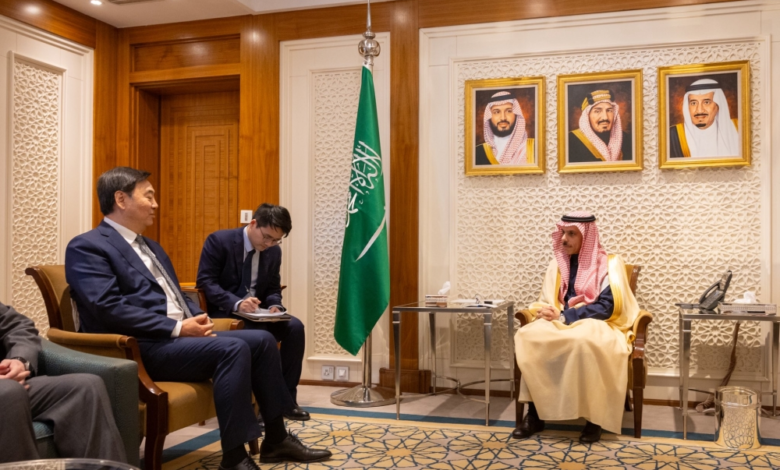 وزير الخارجية يبحث مع المبعوث الصيني مستجدات الشرق الأوسط