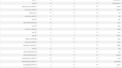 حالة الطقس: درجات الحرارة في السعودية والدمام تسجل 24