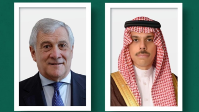 وزير الخارجية يبحث التطورات الإقليمية مع نظيره الإيطالي