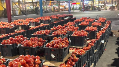 حملة أسواقنا عامرة بالخير: مكة تؤمن الغذاء ومسالخ العيد