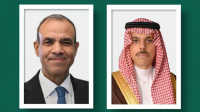 وزير الخارجية السعودي يبحث مع نظيره المصري أمن المنطقة