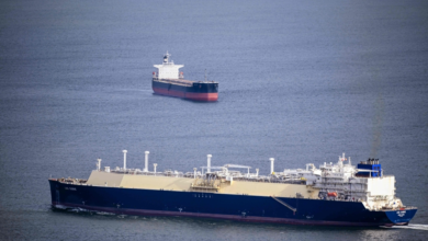 اجتماع طارئ للمنظمة البحرية الدولية بشأن أزمة مضيق هرمز