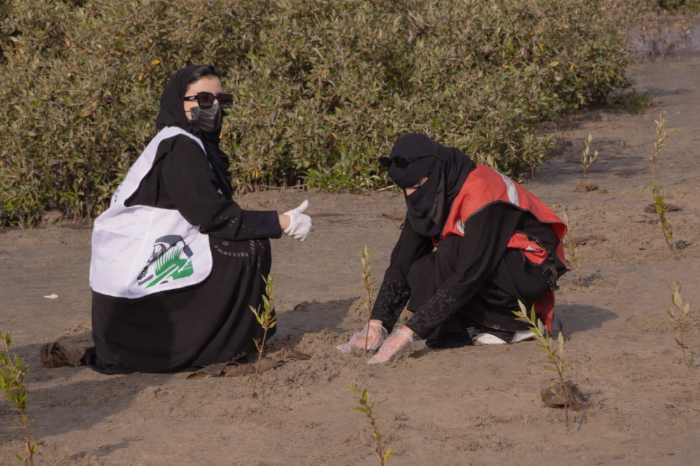 Experts tell Al-Youm: Environmental initiatives are driving the green transformation... Rapid achievements on the anniversary of the Crown Prince's pledge of allegiance