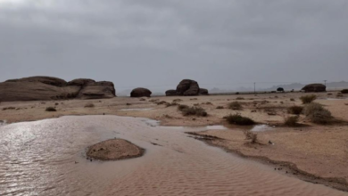 Saudi Arabia weather today: Rain in Al-Ula and warnings of flash floods