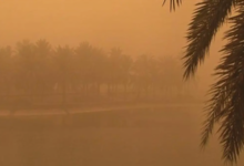 Saudi Arabia weather today: Dust storms and rain in 3 regions