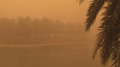 Saudi Arabia weather today: Dust storms and rain in 3 regions