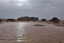 هطول أمطار في السعودية: العلا تسجل أعلى كمية بـ 7 مناطق