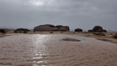 هطول أمطار في السعودية: العلا تسجل أعلى كمية بـ 7 مناطق