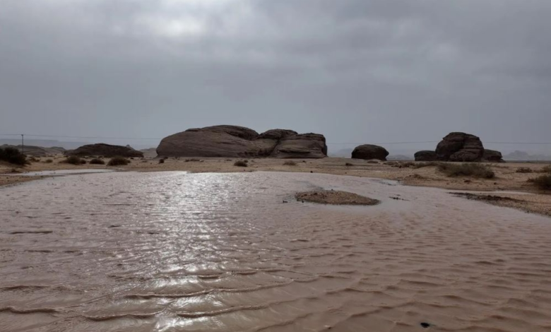 هطول أمطار في السعودية: العلا تسجل أعلى كمية بـ 7 مناطق