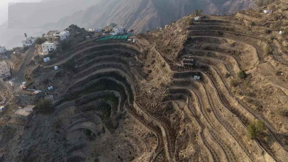 موائد الإفطار الرمضانية بمزارع البُن في جبال منطقة جازان - واس