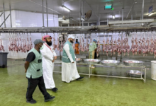 وزارة البيئة بمكة تكثف الرقابة لضمان سلامة الغذاء بالعيد