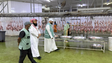 وزارة البيئة بمكة تكثف الرقابة لضمان سلامة الغذاء بالعيد