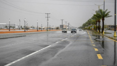 طقس السعودية خلال ترائي هلال شوال: أمطار وغبار بـ 7 مناطق
