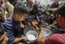 The consequences of war: 45 million people face food insecurity