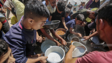 The consequences of war: 45 million people face food insecurity