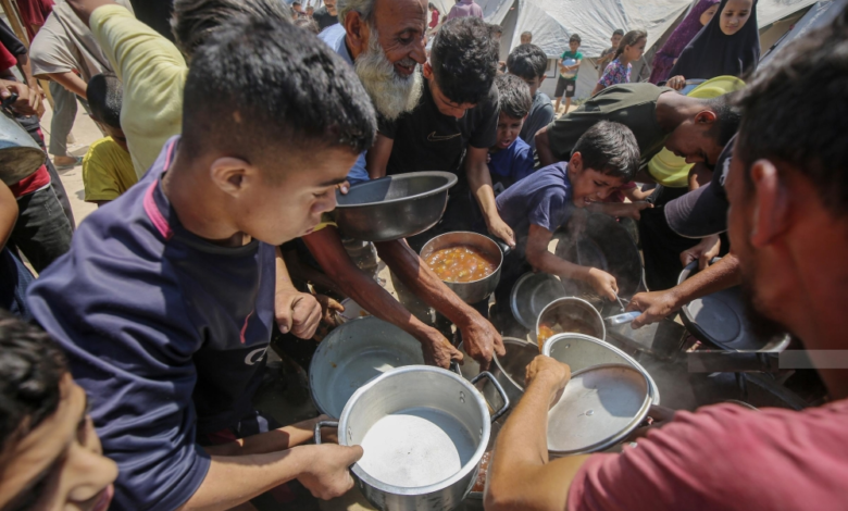 The consequences of war: 45 million people face food insecurity