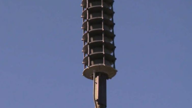 الدفاع المدني يطلق نظام الإنذار المبكر في محافظة الخرج