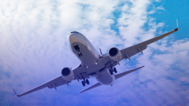 Saudi airports support flights from neighboring countries | Civil Aviation