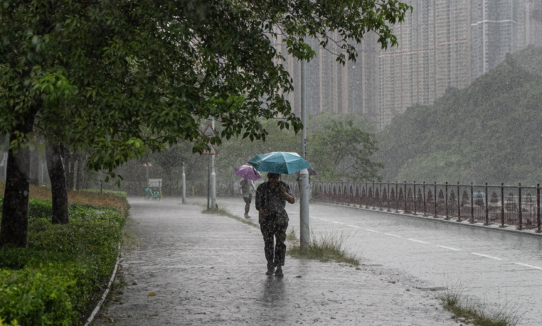 Al-Baha weather warnings: Heavy rain and strong winds expected until the evening