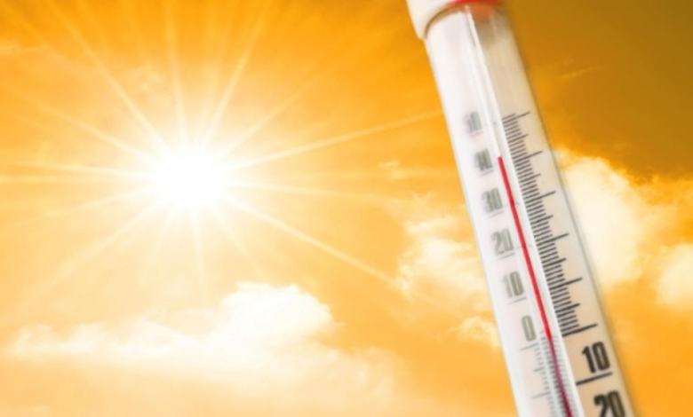 حالة الطقس ودرجات الحرارة في السعودية اليوم | الرياض 31