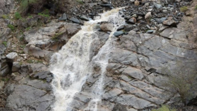 Abha leads the Kingdom's regions and records the highest rainfall rate at 36 mm