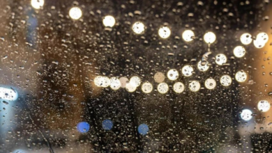 تحذير الأرصاد: أمطار المدينة المنورة وسيول متوقعة اليوم