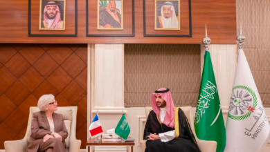 Saudi Defense Minister discusses regional security and Iranian attacks