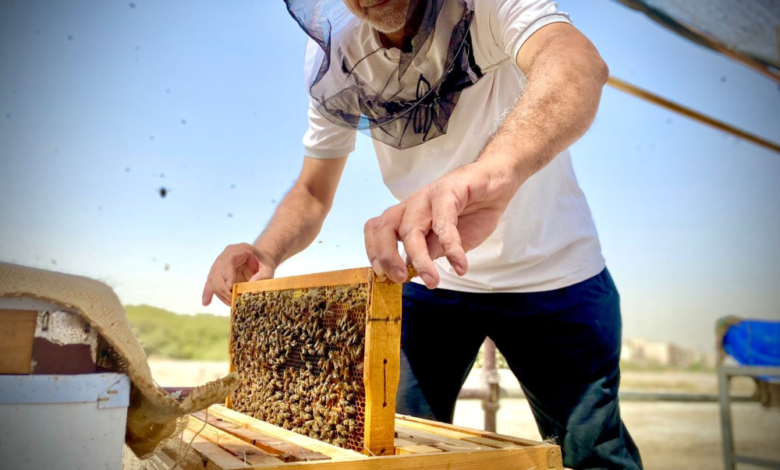 A historic leap: Honey production in Saudi Arabia reaches 7,800 tons