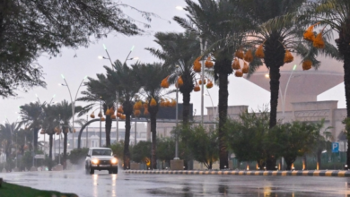 Weather warning: Heavy rain expected in the Eastern Province and other regions of the Kingdom