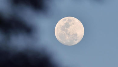 رصد التربيع الأول لقمر شوال بسماء الحدود الشمالية