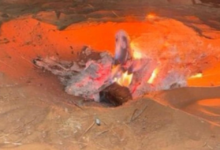 ضبط مخالفات بيئية بالمدينة المنورة ومحمية الملك عبدالعزيز